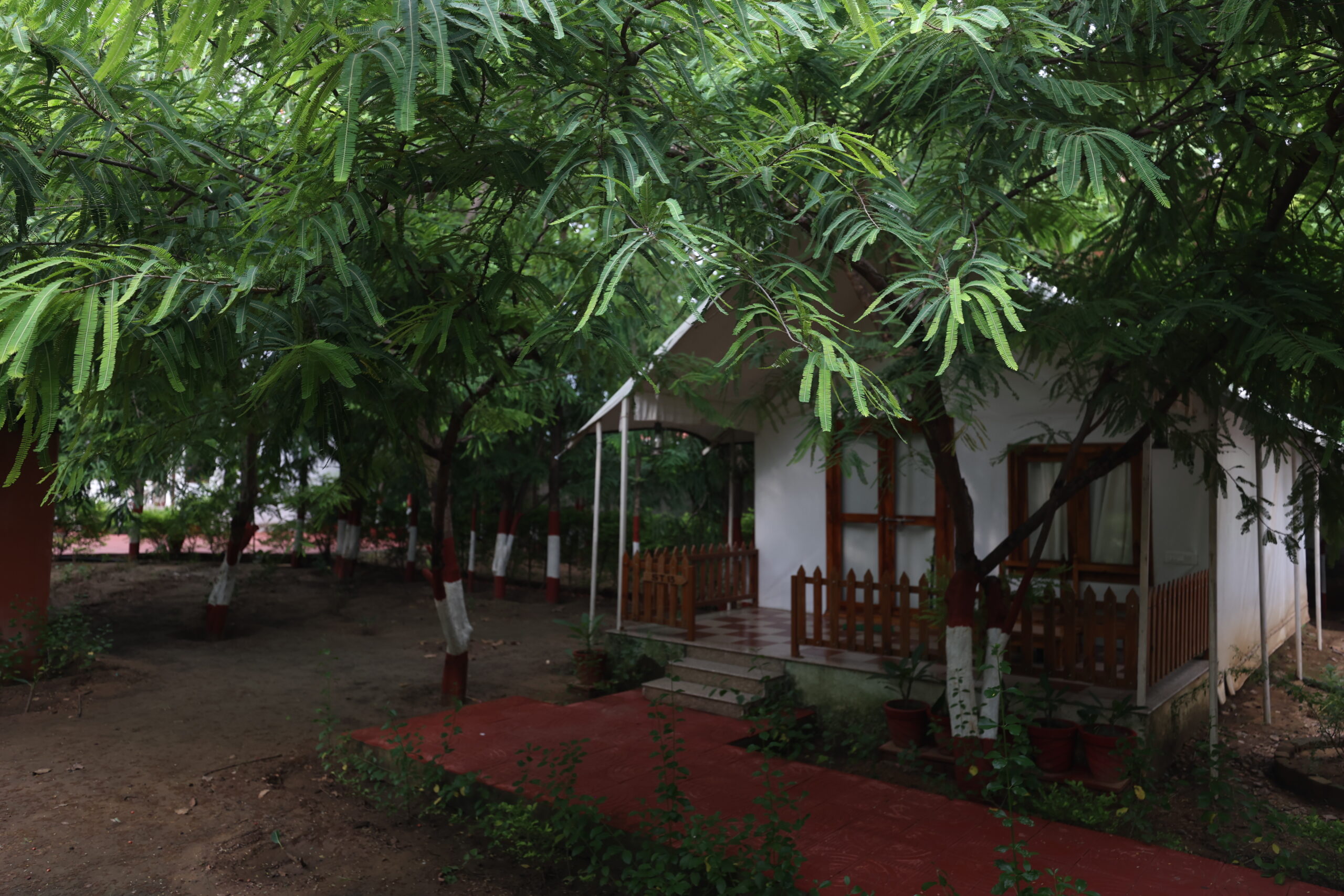 FAMILY COTTAGE_UPLOAD